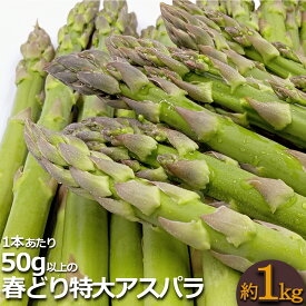 【ふるさと納税】高評価★5 新鮮な 特大 春 旬 アスパラ 約 1kg ＼ 太い ＆ 甘い 1本50g以上！／ 朝採り アスパラガス ミネラルや ビタミン が豊富 春野菜 野菜 【2024年4月～5月発送分先行受付】_H049(R6)