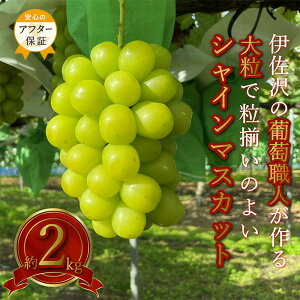 yӂ邳Ɣ[Łz_At^[ۏؑΏەi^ 嗱 [ VC}XJbg Gi  2kg 2`5[ ɍ̂ԂǂEl R`  lC t[c Ȃ  y2025N9`10stz 