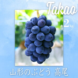 yӂ邳Ɣ[Łz_]4.3ȏ 󏭕i^ Ԃǂ  Gi  2kg   R`  lC t[cy2026N  stz s\ ӂ邳Ɣ[ Ԃǂ W[V[ Ȃ  