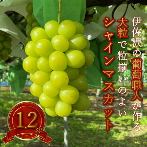 yӂ邳Ɣ[Łz_At^[ۏؑΏەi^ ɍ̂ԂǂEl lC   Ȃ VC}XJbg  1.2kgi2[jyߘa7Ni2025Nj9`10zH203(R7)