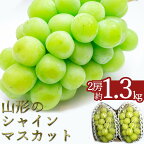 ＼高評価★4.7以上／ 約1.3kg 2房 山形 の シャインマスカット 人気 種なし 高級 ぶどう 【2024年9月～10月発送分先行受付】 先行予約 ふるさと納税 シャインマスカット ふるさと納税 マスカット ふるさと納税 ぶどう ふるさと 令和6年 2024 H065(R6)