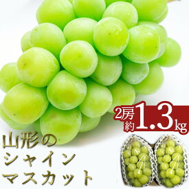 【ふるさと納税】＼高評価★4.7以上／ 約1.3kg 2房 山形 の シャインマスカット 人気 種なし 高級 ぶどう 【2024年9月～10月発送分先行受付】 先行予約 ふるさと納税 シャインマスカット ふるさと納税 マスカット ふるさと納税 ぶどう ふるさと 令和6年 2024 H065(R6)