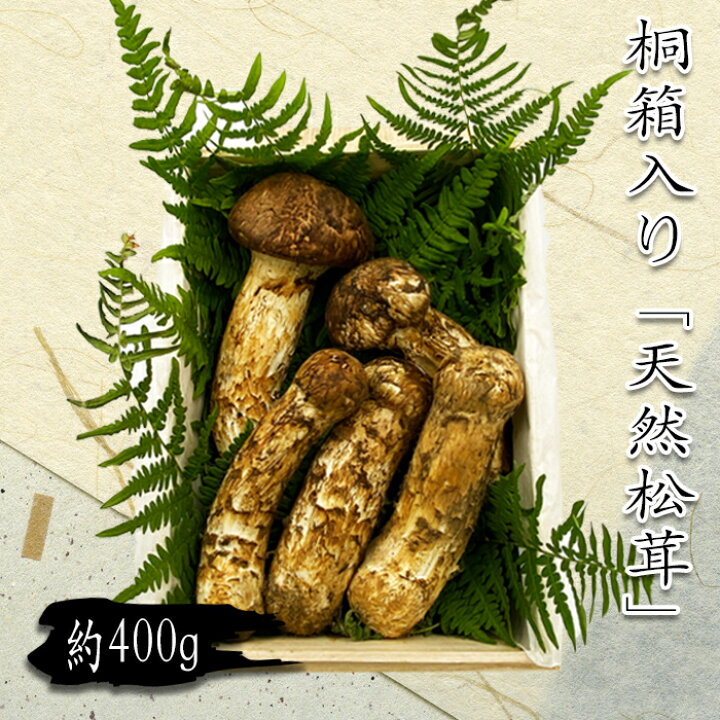 楽天市場】【ふるさと納税】【2024年9月〜11月発送】山形県産「天然 