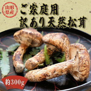 yӂ邳Ɣ[Łzy2026NzR`Yƒp󂠂VRi܂j300g_H198(R8)