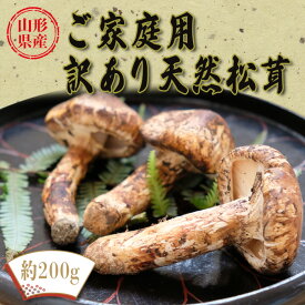 【ふるさと納税】【2026年発送】山形県産ご家庭用訳あり天然松茸（まつたけ）約200g_H205(R8)