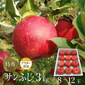 【ふるさと納税】【2026年発送】「特秀」サンふじりんご3kg_H137(R8)