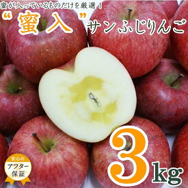 【ふるさと納税】【2026年発送】蜜入りだけ厳選！蜜入サンふじりんご3kg_H126(R8)