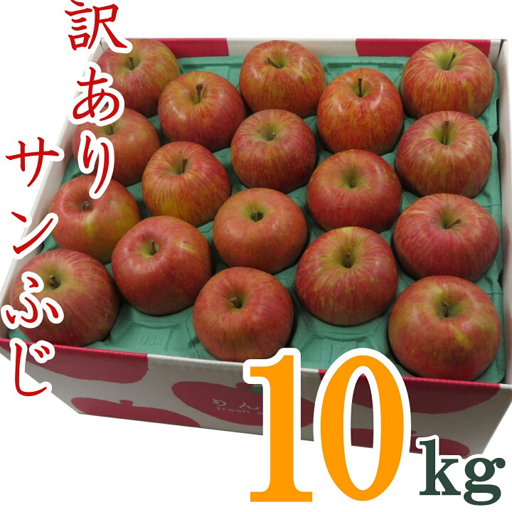 【軟体動物】ふるさと納税 先行予約 シナノスイート 3kg 10月上旬〜11月上旬頃発送 令和7年産 2025年産 りんご リンゴ 果物 フルーツ 山形県産 送料無料 ja.. 山形県尾花沢市
