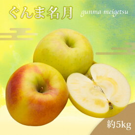【ふるさと納税】【2026年発送】山形のりんご（ぐんま名月）約5kg_H208(R8)