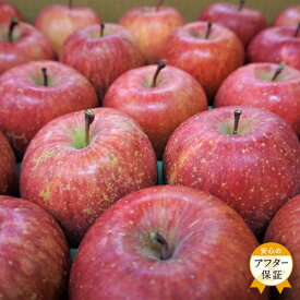 【ふるさと納税】 ＜ 2025年 発送＞「優品」山形のりんご（サンふじ）約5kg 【11月〜12月発送】 アフター保証対象 りんご サンふじ ふじ 5kg 山形県 山形 ふるさと 人気 ランキング フルーツ 果物 _H082(R7)