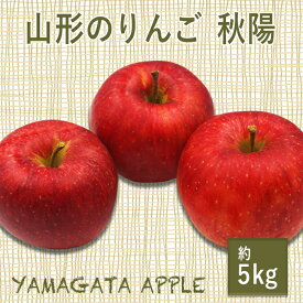 【ふるさと納税】【2026年発送】山形のりんご（秋陽）約5kg_H077(R8)