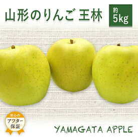 山形のりんご（王林）約5kg
山形県長井市