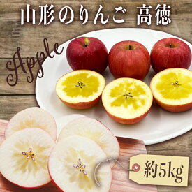 【ふるさと納税】【2026年発送】山形のりんご（高徳）約5kg_H119(R8)