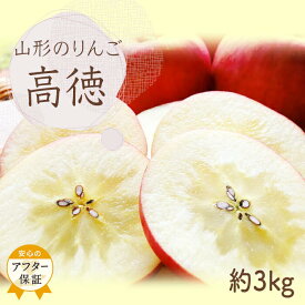 【ふるさと納税】【2026年発送】山形のりんご（高徳）約3kg_H140(R8)