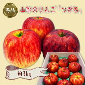 【ふるさと納税】【2024年9月～10月発送分先行受付】「秀品」山形のりんご（つがる）約3kg_H163(R6)