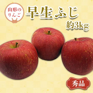yӂ邳Ɣ[Łzy2025N9`10stzuGivR`̂񂲁iӂj3kg_H165(R7)