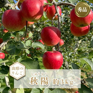 yӂ邳Ɣ[Łzy2025N10stzuGivR`̂񂲁iHzj3kg_H167(R7)