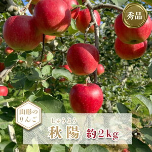 yӂ邳Ɣ[Łzy2025N10stzuGivR`̂񂲁iHzj2kg_H214(R7)