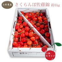 【ふるさと納税】 【期間限定寄附額 / 受付は6/14(日)まで】佐藤錦 ...