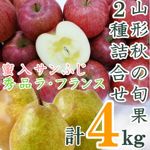 yӂ邳Ɣ[Łzy2025N11`12zR`H̏{2litXETӂv4kgj_H124(R7)