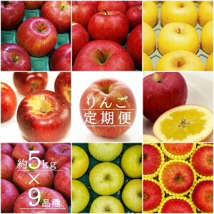 �y�ӂ邳�Ɣ[�Łz�y2026�N�����z�y�����9��z�u�G�i�v���5kg×9��_H150(R8)