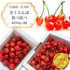 �y�ӂ邳�Ɣ[�Łz�y2026�N�����z�y�����2��z�������ږ�500g×2��_H176(R8)