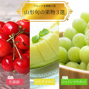 �y�ӂ邳�Ɣ[�Łz�y2026�N�����z�y�����3��z�R�`�{�̉ʕ�3�I�i������/������/�V���C���}�X�J�b�g�j_H184(R8)