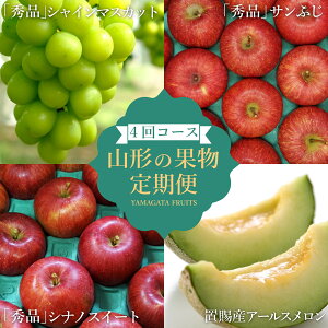 �y�ӂ邳�Ɣ[�Łz�y2026�N�����z�y�����4��z�R�`�{�̉ʕ�4�I�i������/�V���C���}�X�J�b�g/�V�i�m�X�C�[�g/�ӂ���񂲁j_H193(R8)