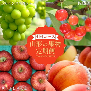 �y�ӂ邳�Ɣ[�Łz�y2026�N�����z�y�����4��z�R�`�{�̉ʕ�4�I�i������/��/�V���C���}�X�J�b�g/��񂲁j_H240(R8)