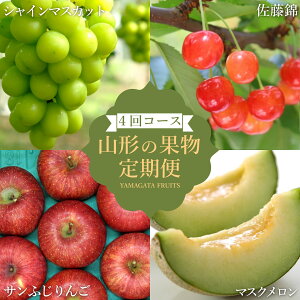 �y�ӂ邳�Ɣ[�Łz�y2026�N�����z�y�����4��z�R�`�{�̉ʕ�4�I�i������/������/�V���C���}�X�J�b�g/��񂲁j_H241(R8)