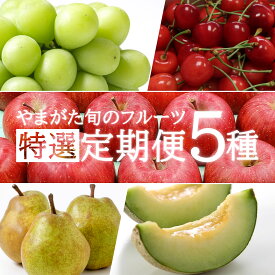 【ふるさと納税】【2026年発送】【定期便5回】山形の果物特選5種(さくらんぼ/メロン/シャインマスカット/ラ・フランス/サンふじりんご)_H199(R8)
