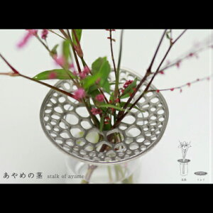 yӂ邳Ɣ[ŁzR`[tƂXeXԊu߂̌s stalk of ayamev_F032