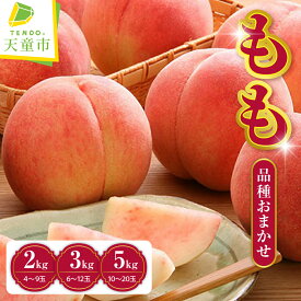 【ふるさと納税】もも ( 品種 おまかせ ) 選べる 2kg / 3kg / 5kg 秀品 令和8年産 先行予約 2026年 桃 黄桃 人気 おすすめ フルーツ 果物 くだもの 山形 お取り寄せ 産地直送 送料無料 【 山形県 天童市 】