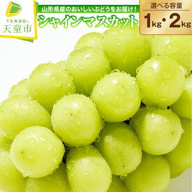 【ふるさと納税】 ぶどう ( シャインマスカット ) 秀品 選べる 1kg / 2kg 令和8年産 先行予約 2026年 山形県産 葡萄 果物 フルーツ のし 贈答 ギフト プレゼント おすそ分け 秋 旬 期間限定 冷蔵便 送料無料 産地直送 お取り寄せ【 山形県 天童市 】