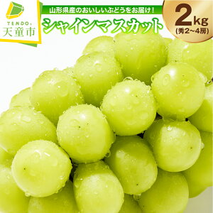 yӂ邳Ɣ[Łz Ԃǂ ( VC}XJbg ) Gi Iׂ 1kg / 2kg ߘa8NY s\ 2026N R`Y  ʕ t[c ̂  Mtg v[g  H { Ԍ ① 