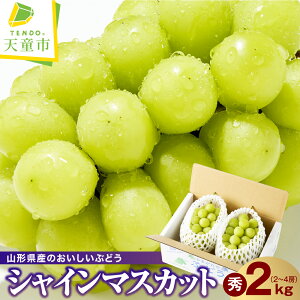 yӂ邳Ɣ[Łz Ԃǂ ( VC}XJbg ) Gi Iׂ 1kg / 2kg ߘa8NY s\ 2026N R`Y  ʕ t[c ̂  Mtg v[g  H { Ԍ ① 