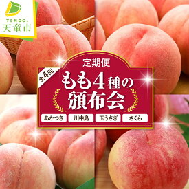 【ふるさと納税】もも 4種 の 頒布会 ( 定期便 ) 全4回 秀品 あかつき 川中島 玉うさぎ さくら 令和8年産 先行予約 2026年 桃 白桃 人気 おすすめ フルーツ 果物 くだもの 山形 お取り寄せ 食べ比べ 産地直送 送料無料 【 山形県 天童市 】