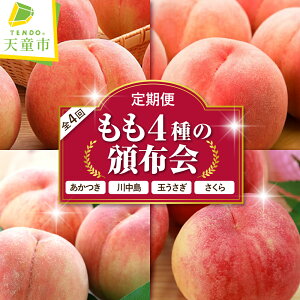 yӂ邳Ɣ[Łz 4  Еz (  ) S4 Gi  쒆 ʂ  ߘa8NY s\ 2026N   lC  t[c ʕ  R`  Hה