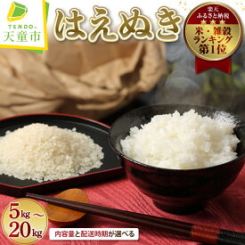 【ふるさと納税】 レビュー高評価 はえぬき 選べる内容量 5kg / 10kg / 15kg / 20kg 配送時期が選べる 1回でお届け 5kg×1袋 2袋 3袋 4袋 | 令和7年産 先行予約 米 新米 精米 ブランド米 ごはん 白米 おにぎり 弁当 発送時期が選べる 単品 【 山形県 天童市 】