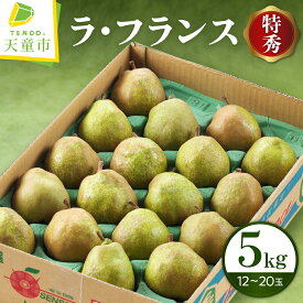 【ふるさと納税】 ラ・フランス 5kg 特秀 (12～20玉) ラフランス 洋梨 西洋梨 果物 フルーツ ご家庭用 のし 贈答 ギフト プレゼント おすそ分け お取り寄せ 旬 秋 冬 期間限定 産地直送 送料無料 先行予約 【 山形県 天童市 】
