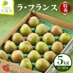 yӂ邳Ɣ[Łz EtX 5kg G (12`20) tX m m ʕ t[c ƒp ̂  Mtg v[g   { H ~ Ԍ Yn 