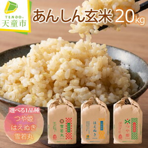 yӂ邳Ɣ[Łz 񂵂񌺕 20kg Iׂ 1i P ͂ʂ  20kg / 20kg×1 ߘa7NY V  R    uh Đ Nu ͂ ɂ 20L  