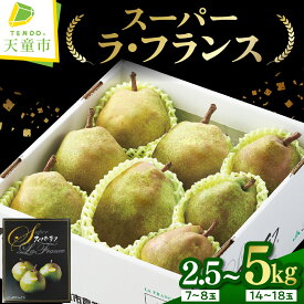 【ふるさと納税】 スーパー ラ・フランス 選べる 内容量 2.5kg 3kg 5kg ラフランス 西洋梨 洋梨 果物 くだもの フルーツ ご家庭用 のし 贈答 ギフト プレゼント おすそ分け お取り寄せ 旬 秋 冬 期間限定 送料無料 先行予約 【 山形県 天童市 】