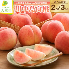 【ふるさと納税】もも ( 川中島白桃 ) 2kg / 3kg 令和8年産 先行予約 2026年 山形県産 桃 白桃 果物 フルーツ 秀品 のし 贈答 ギフト おすそ分け 期間限定 冷蔵便 送料無料 産地直送 お取り寄せ 【 山形県 天童市 】