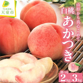 【ふるさと納税】 もも ( あかつき ) 選べる 2kg / 3kg 秀品 令和8年産 先行予約 2026年 山形県産 桃 白桃 果物 フルーツ のし 贈答 ギフト おすそ分け 期間限定 冷蔵便 送料無料 産地直送 お取り寄せ 【 山形県 天童市 】