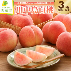 yӂ邳Ɣ[Łz ( 쒆 ) 2kg / 3kg ߘa8NY s\ 2026N R`Y   ʕ t[c Gi ̂  Mtg  Ԍ ①  Yn  y 