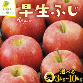 【ふるさと納税】 りんご ( 早生ふじ ) 選べる 3kg / 5kg / 10kg 令和8年産 先行予約 2026年 ふじ リンゴ わせふじ 果物 フルーツ 秀 のし 贈答 ギフト プレゼント おすそ分け お取り寄せ 秋 旬 期間限定 送料無料 【 山形県 天童市 】