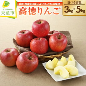 【ふるさと納税】 りんご ( こうとく ) 選べる 3kg / 5kg 令和8年産 先行予約 2026年 高徳 りんご 果物 フルーツ 秀 蜜入り 小ぶり 希少 ご家庭用 のし 贈答 ギフト おすそ分け お取り寄せ 旬 秋 冬 期間限定 送料無料 【 山形県 天童市 】