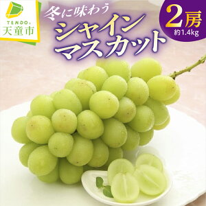 yӂ邳Ɣ[Łz ~ɖ키wVC}XJbgx 1.4kg }XJbg Ԃǂ   t[c ̂ p  O Mtg v[g  s\ y R` V