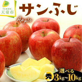 【ふるさと納税】 りんご ( サンふじ ) 選べる 3kg / 5kg / 10kg ふじ りんご 果物 フルーツ 秀 のし 贈答 ギフト プレゼント おすそ分け お取り寄せ 旬 秋 冬 期間限定 産地直送 送料無料 先行予約 【 山形県 天童市 】
